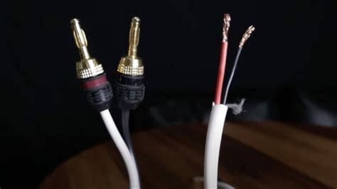 Is Black Speaker Wire Negative