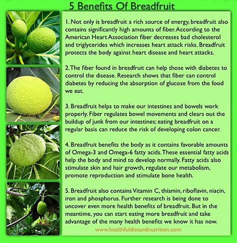 Is Breadfruit Good For You