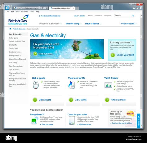 is british gas website working
