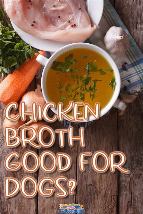 is broth okay for dogs