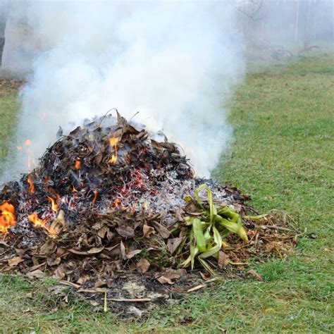 Is Burning Mulch Toxic