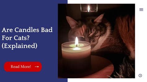 Is Candles Bad For Cats