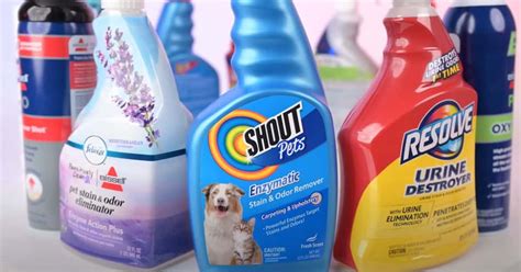 Is Carpet Cleaning Solution Toxic