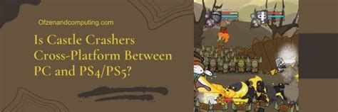 is castle crashers cross platform