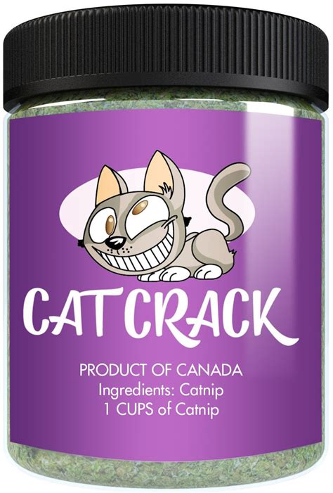is catnip good for your cat