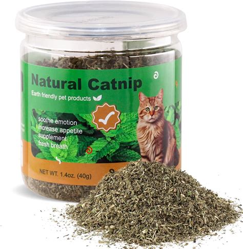 Is Catnip Really Safe For Cats