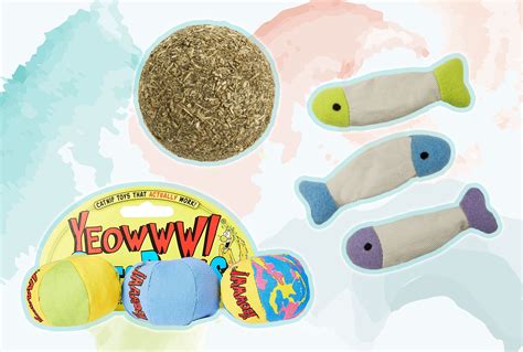 is catnip toys safe for dogs