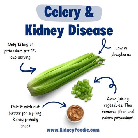 Is Celery Good For Kidney Failure