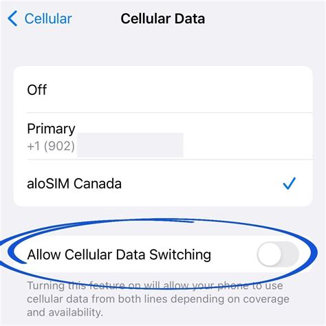 is cellular data switching the same as roaming