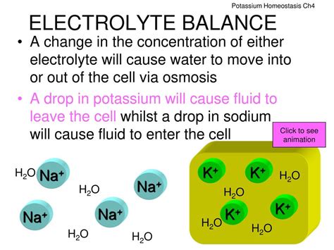 is ch4 an electrolyte