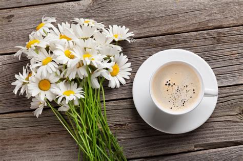 Is Chamomile Tea Keto