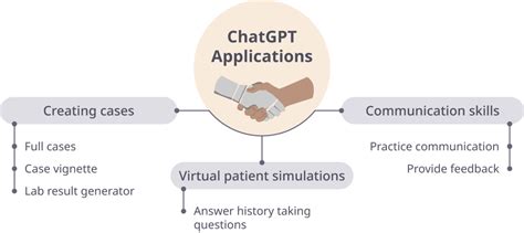 is chatgpt plus data used for training