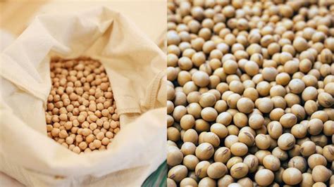 is chickpeas soy
