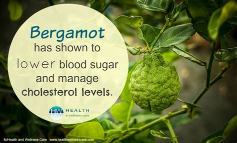 is citrus bergamot good for cholesterol