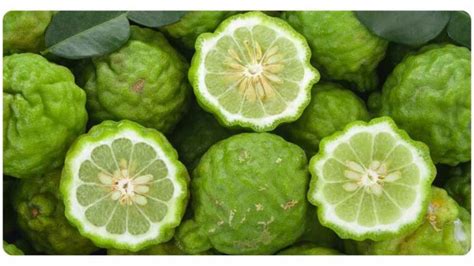 is citrus bergamot good for you