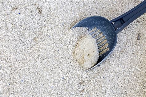 Is Clay Litter Clumping