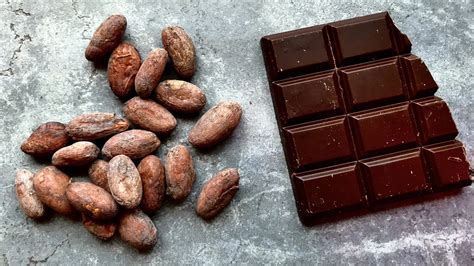 Is Coke Made From Cocoa Beans