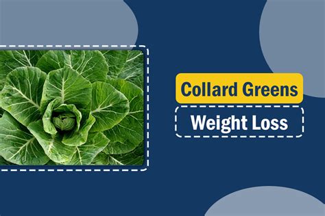 Is Collard Greens Good for Weight Loss? Nutrition, Benefits, and More