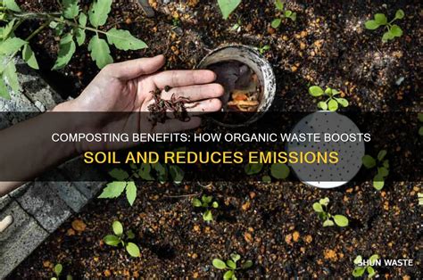 Is Compost Good For The Environment