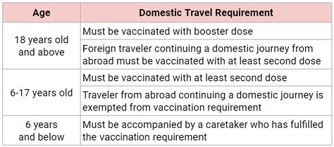 is covid vaccine required to fly domestically