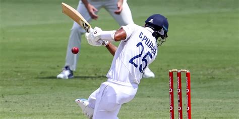 Is Cricket Dangerous