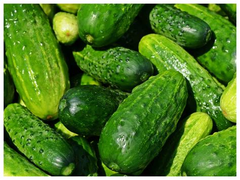 The Surprising Truth: Is Cucumber a Fruit or a Vegetable?