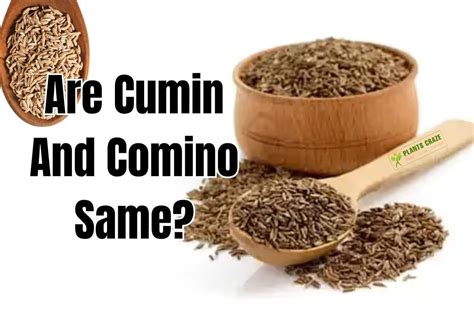 is cumin and comino the same