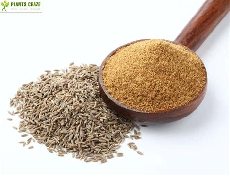 is cumin the same as comino