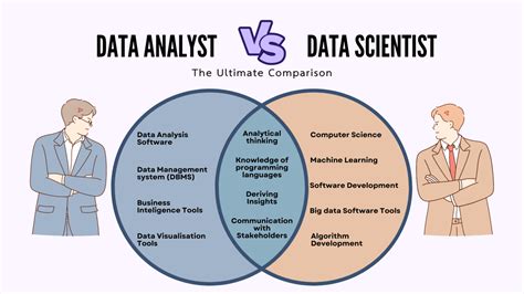 is data analyst better than data scientist