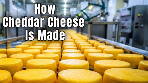 Is Deli Cheddar Cheese Processed