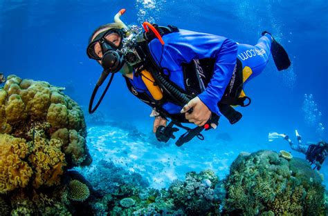 is diving for you