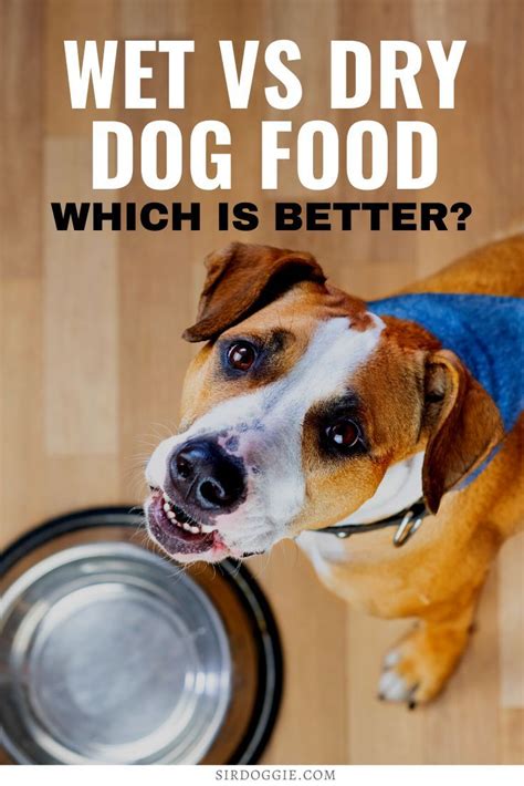 is dry dog food better than wet dog food