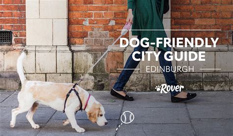 Is Edinburgh Dog Friendly