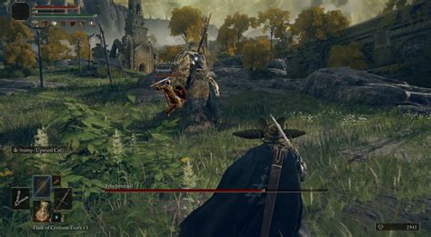 Elden Ring, confermato il multiplayer online GameSource