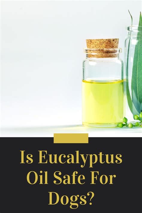 is eucalyptus oil safe for dogs