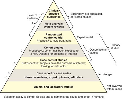 is evidence based practice a theory