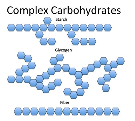 Is Fiber A Complex Carbohydrate