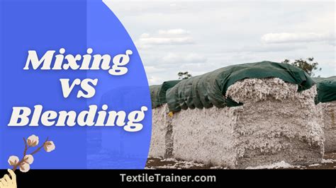 Is Fiber Lost When Blending