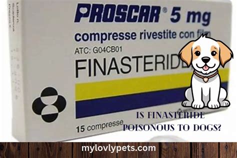 is finasteride poisonous to dogs