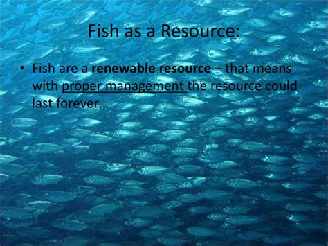 is fish a renewable resource