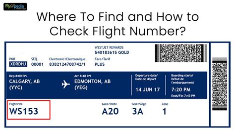 is flight number and ticket number same