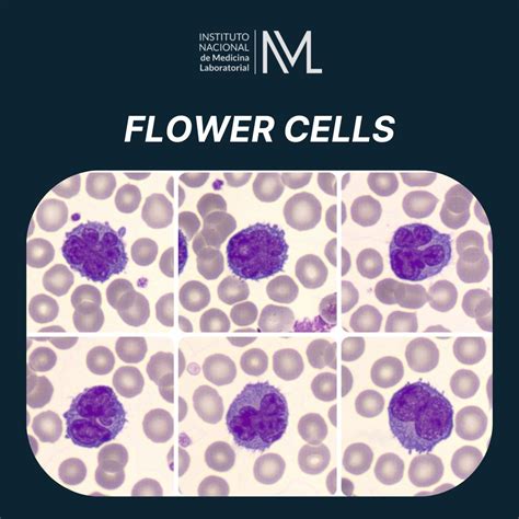 Is Flower A Cell