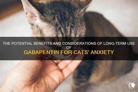 is gabapentin safe for long term use in cats