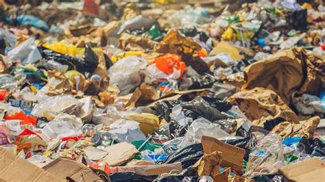 Is Garbage In A Garbage Can A Solution