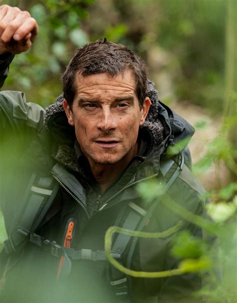 is george grylls related to bear grylls