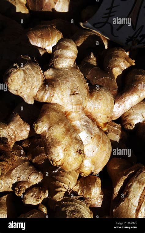 Is Ginger A Tuber Plant