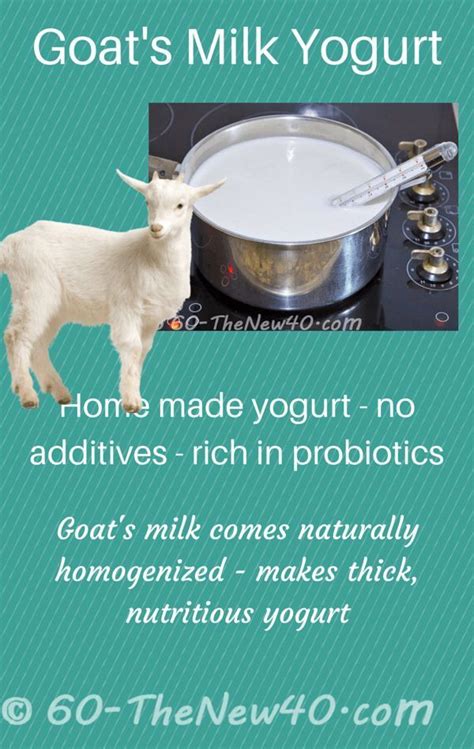 is goat milk yogurt healthy