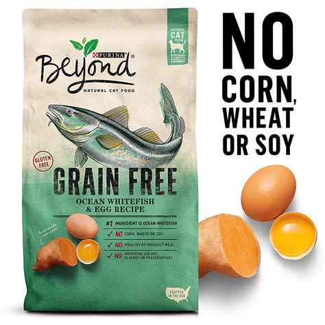 is grain free cat food safe