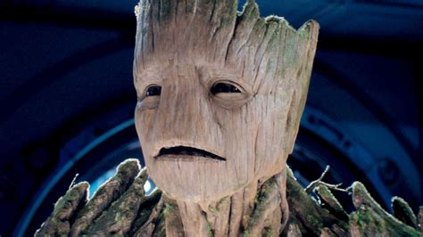 is groot a male