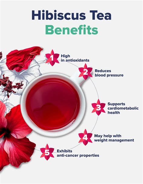 Is Hibiscus Tea Good For Hyperthyroidism
